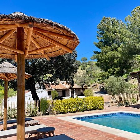 Finca El Sueno Andaluz Villanueva de la Concepcion Exterior photo