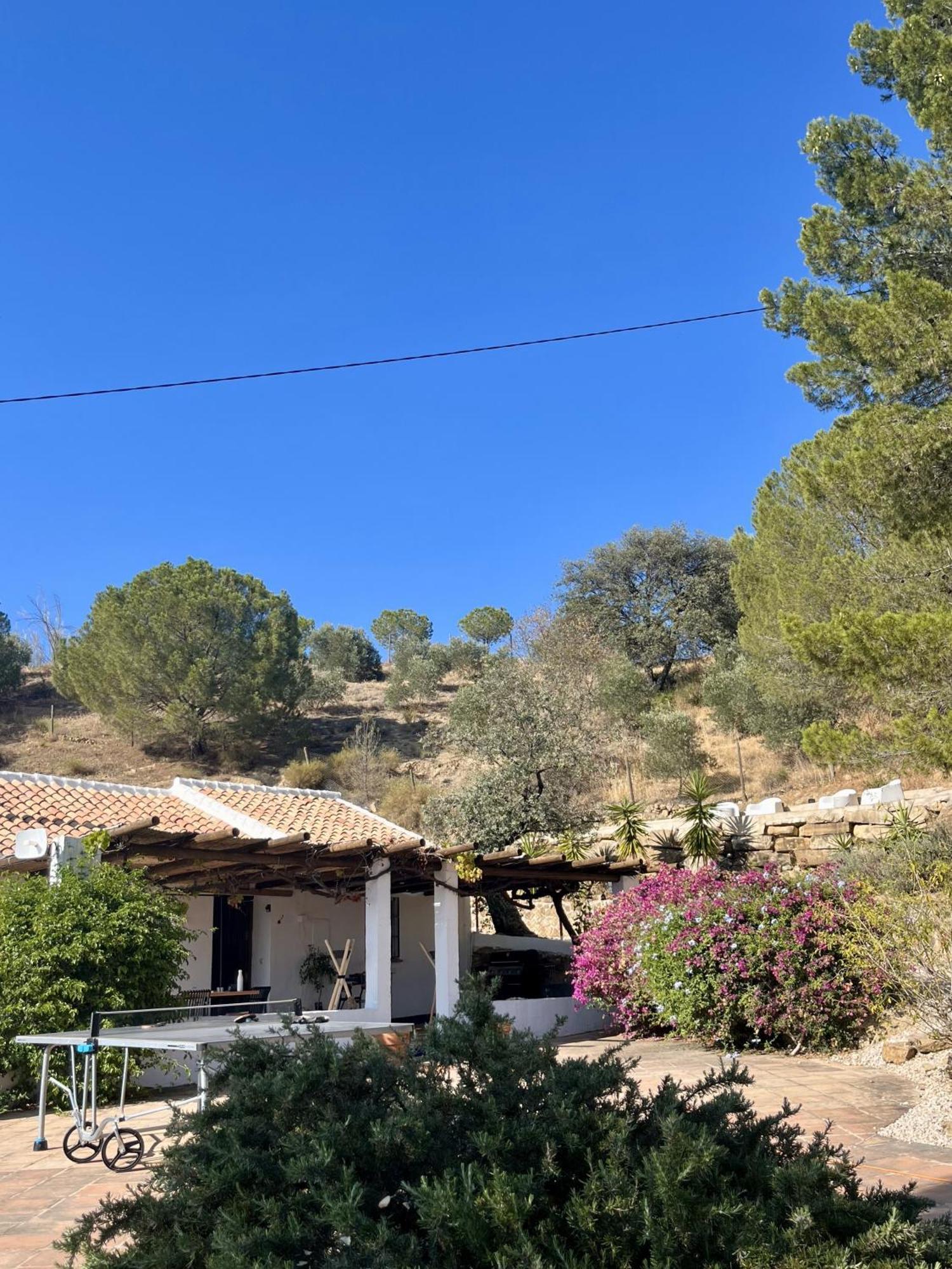 Finca El Sueno Andaluz Villanueva de la Concepcion Exterior photo